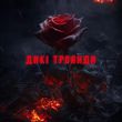 Travinskiy - Дикі Троянди